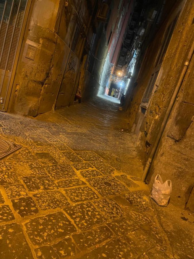 Casa Vacanza La Serenella Daire Napoli Dış mekan fotoğraf